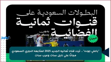 “بأعلى جودة”.. تردد قناة ثمانية الجديد 2025 لمتابعة الدوري السعودي مجانًا على نايل سات وعرب سات